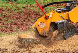 Gallup, NM Tree Care Company